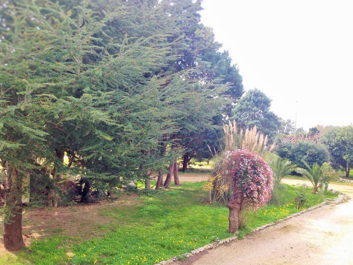 לינה וארוחת בוקר מלנדוניו La Macchia מראה חיצוני תמונה